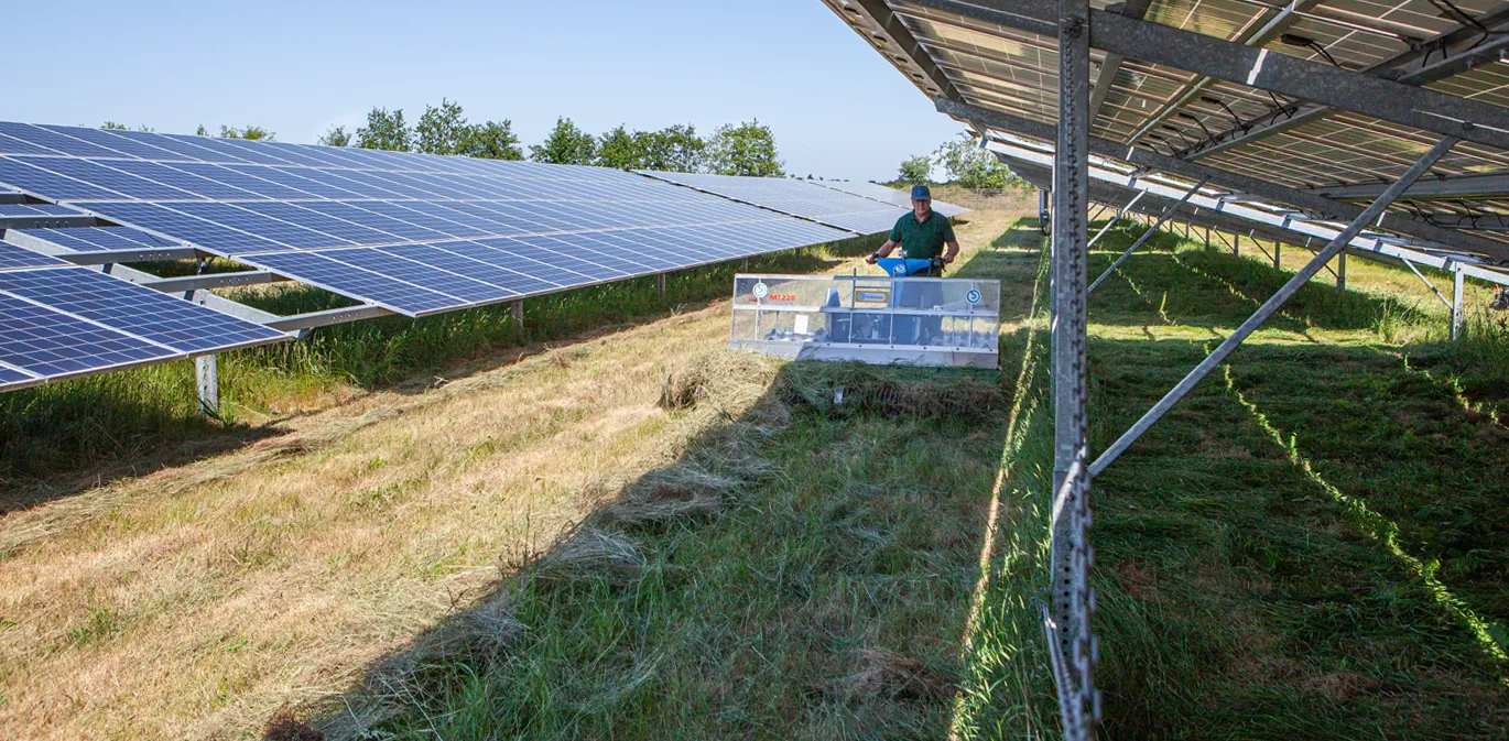 extensive Landwirtschaft im Solarpark