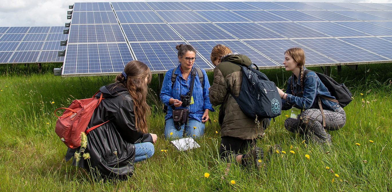 Führung druch einen ökologischen Solarpark